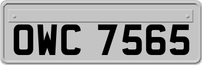 OWC7565
