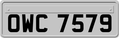 OWC7579