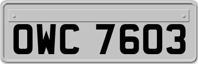 OWC7603