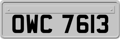 OWC7613