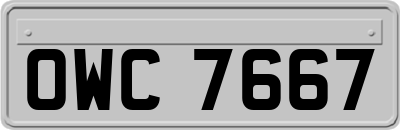 OWC7667