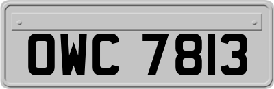 OWC7813