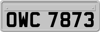 OWC7873