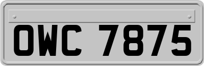 OWC7875