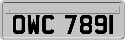 OWC7891