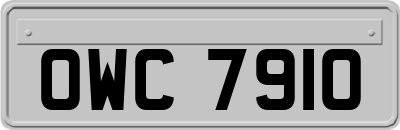 OWC7910