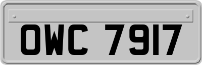 OWC7917