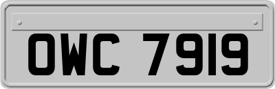 OWC7919