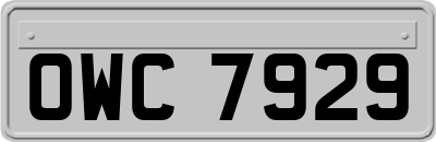 OWC7929