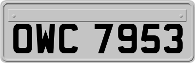 OWC7953