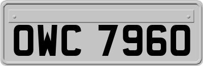 OWC7960