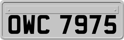 OWC7975