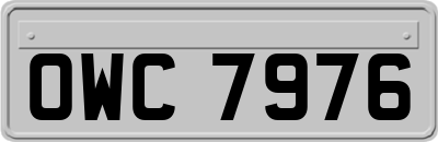OWC7976