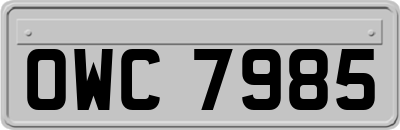 OWC7985
