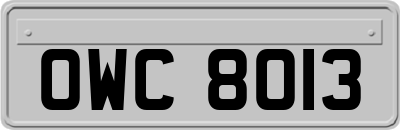OWC8013