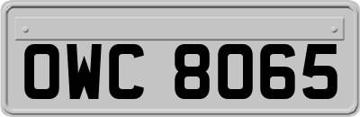 OWC8065