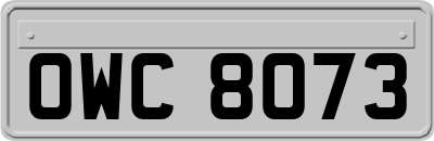 OWC8073
