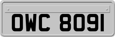OWC8091