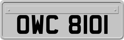 OWC8101