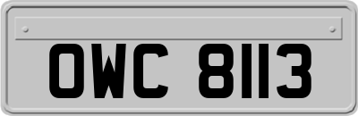 OWC8113
