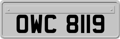 OWC8119