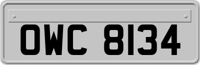OWC8134