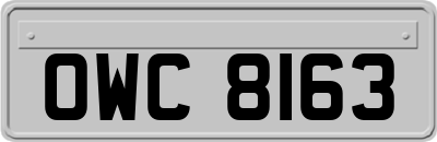 OWC8163