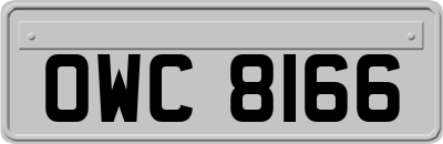 OWC8166