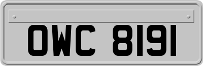 OWC8191