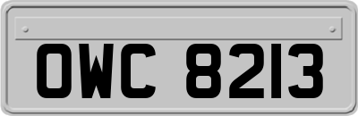 OWC8213