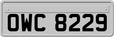 OWC8229