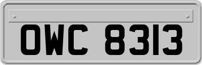OWC8313