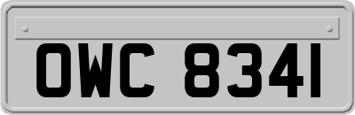 OWC8341