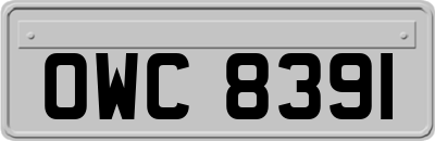 OWC8391
