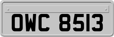 OWC8513