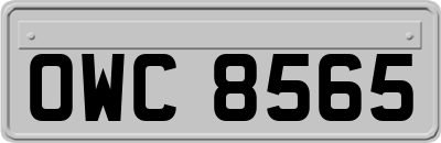 OWC8565