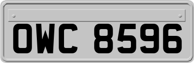 OWC8596