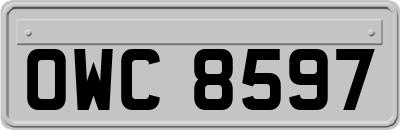 OWC8597