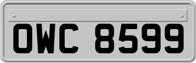 OWC8599