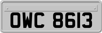 OWC8613