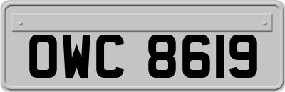 OWC8619