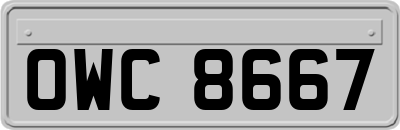 OWC8667