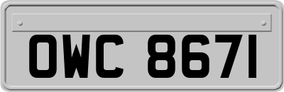OWC8671