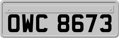 OWC8673
