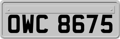OWC8675