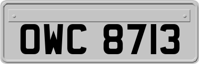 OWC8713