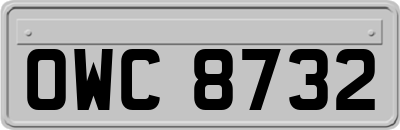 OWC8732