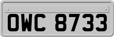 OWC8733