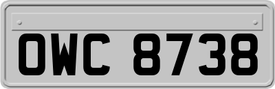 OWC8738
