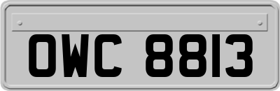 OWC8813